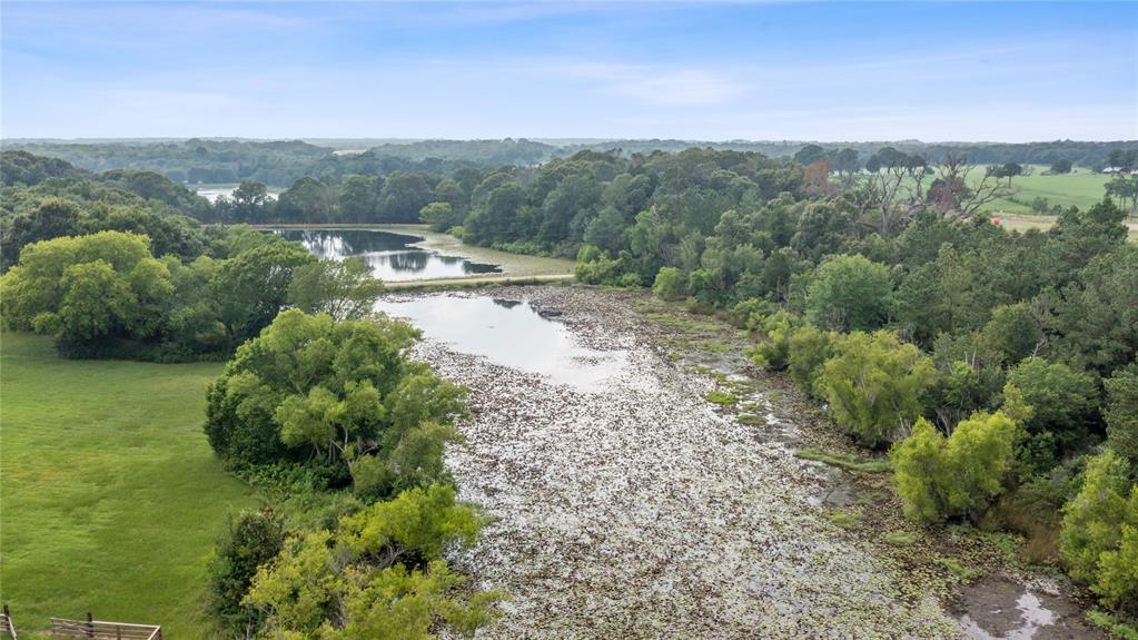 640 Northeast Loop 7 Athens, TX 75751 - Photo 2 of 6 a view of a forest with a street