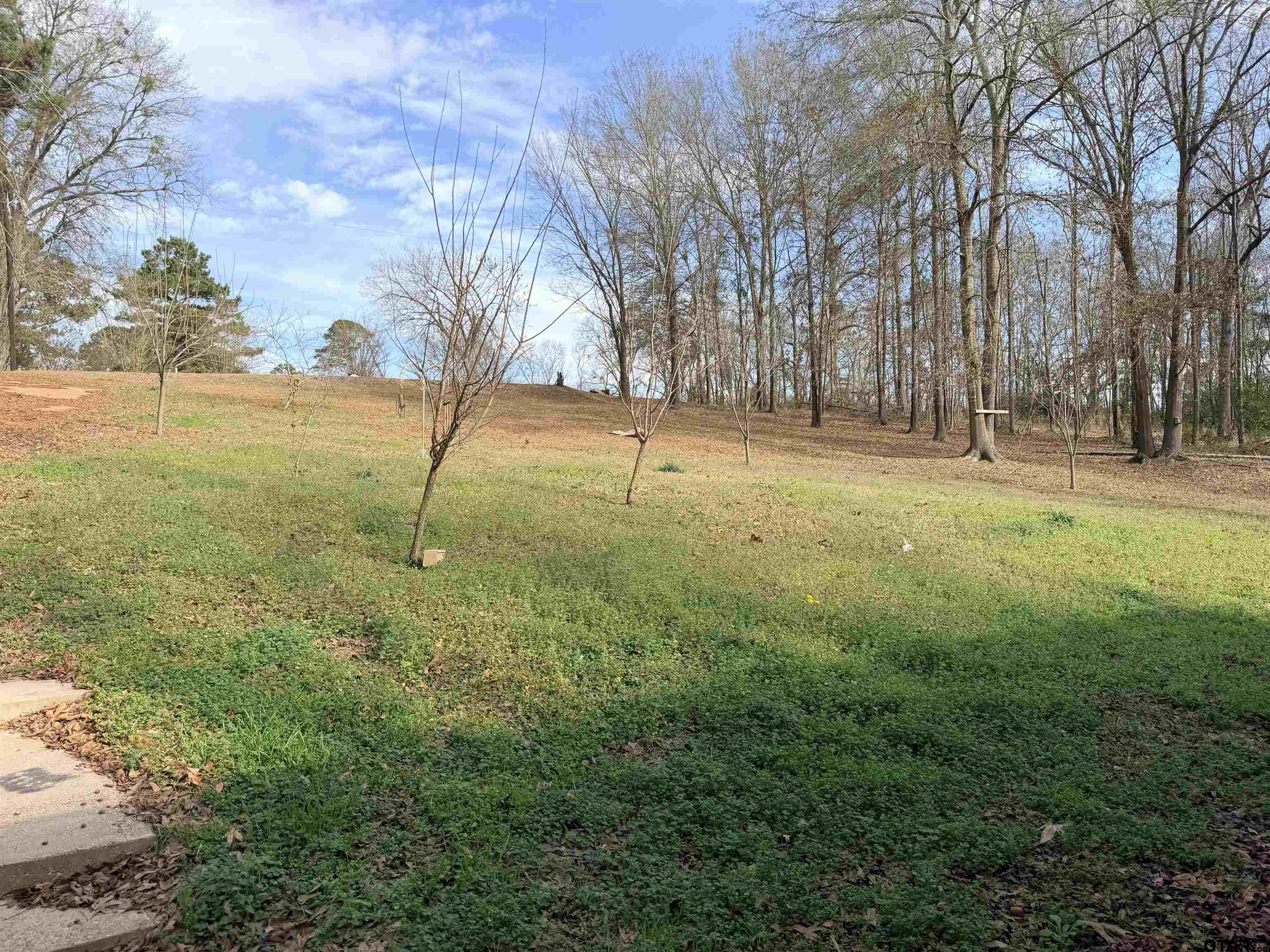 14946 County Road 220 Tyler, TX 75707 - Photo 32 of 41 a view of yard with trees