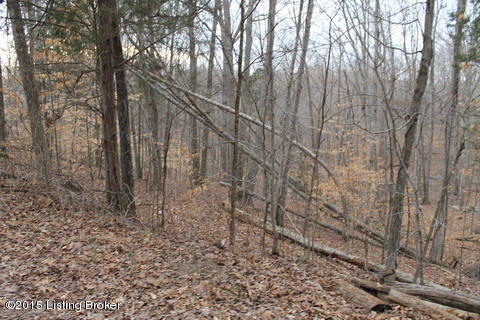 12 Dug Hill Road Clarkson, KY 42726 - Photo 8 of 8 IMG_6851_resize.JPG