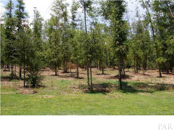 3184 Wallace Lake Road Pace, FL 32571 - Photo 3 of 13