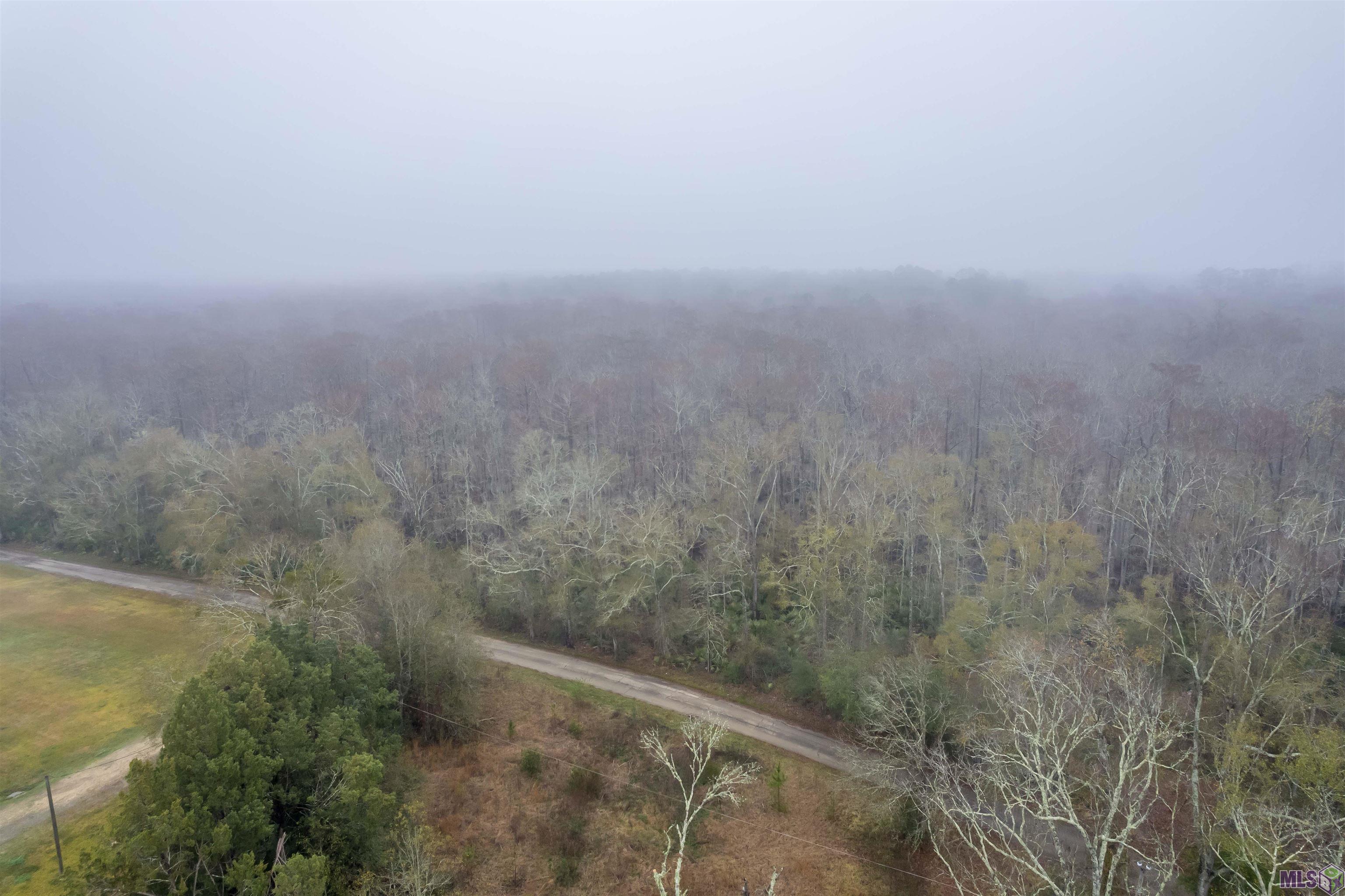 15600 Ridge Road Maurepas, LA 70449 - Photo 4 of 10