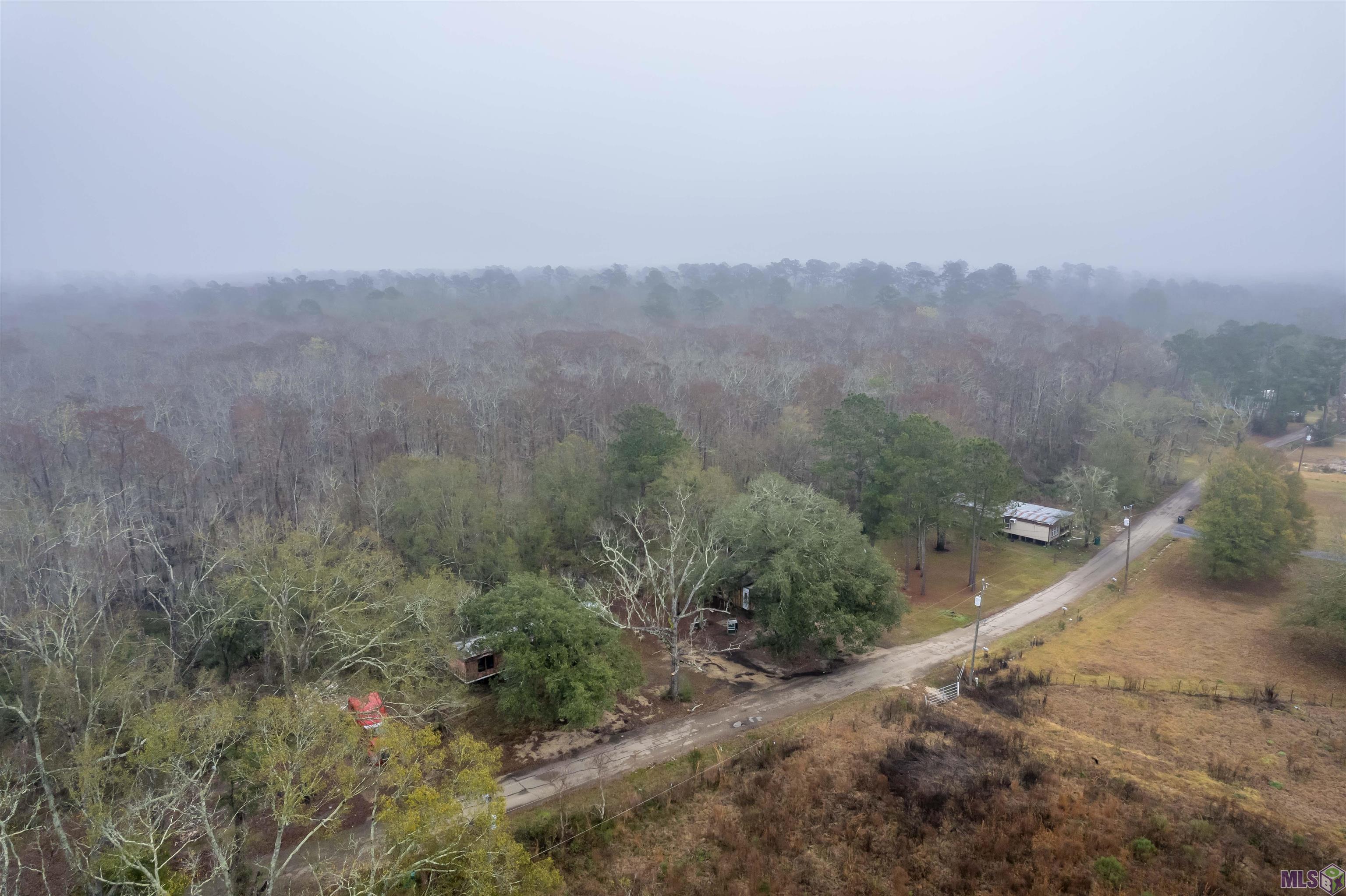 15600 Ridge Road Maurepas, LA 70449 - Photo 5 of 10