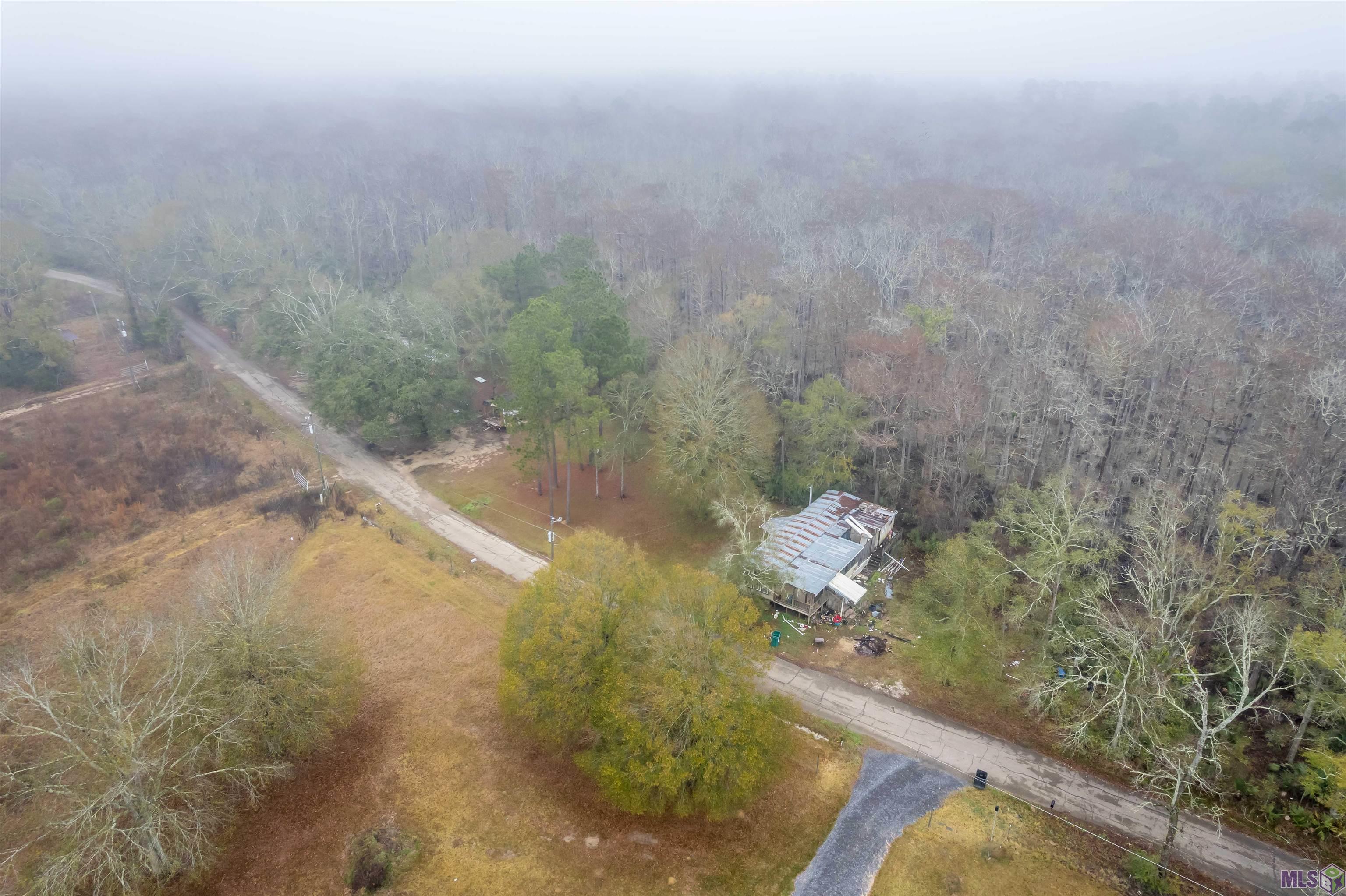 15600 Ridge Road Maurepas, LA 70449 - Photo 6 of 10