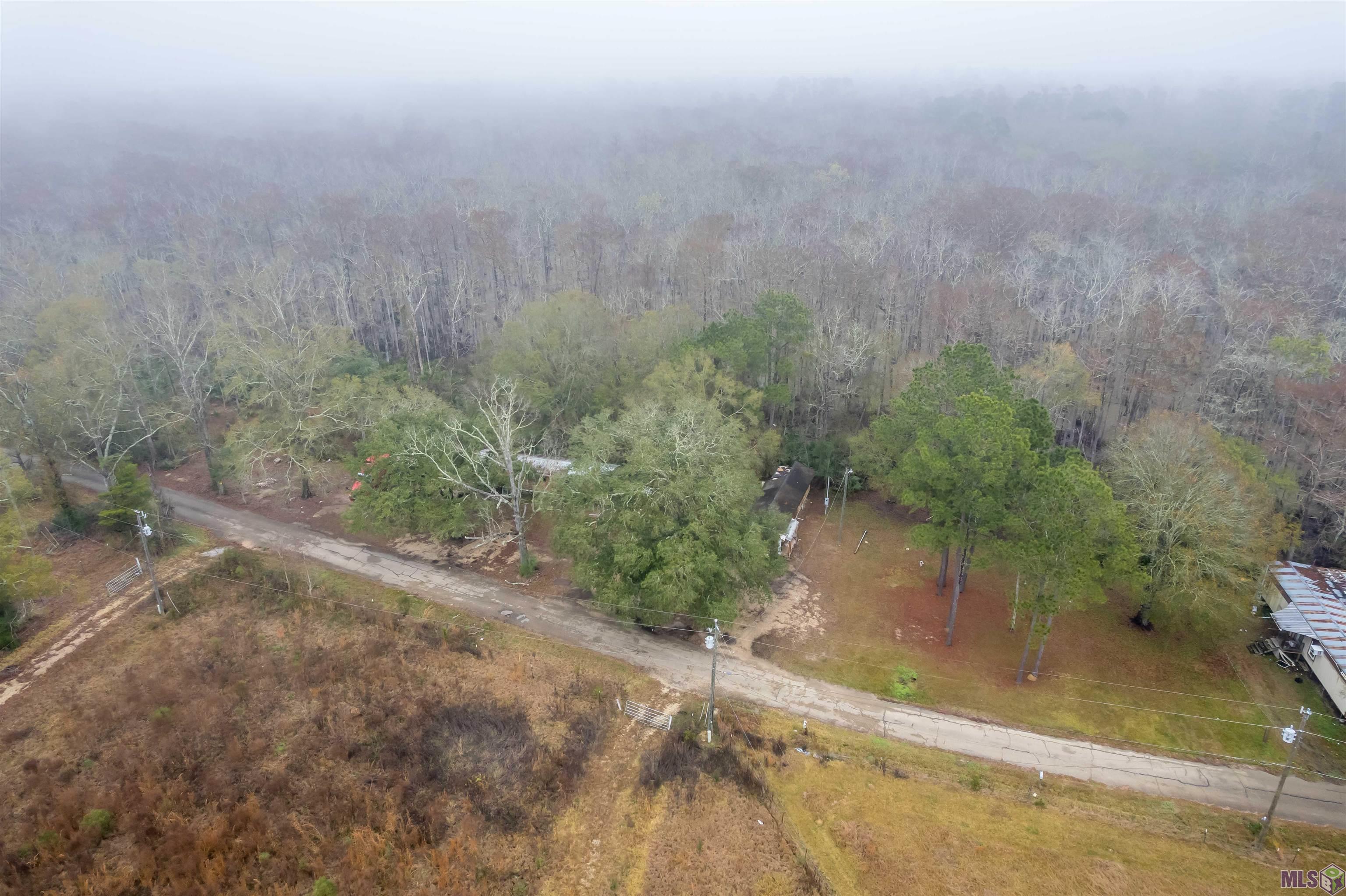 15600 Ridge Road Maurepas, LA 70449 - Photo 7 of 10