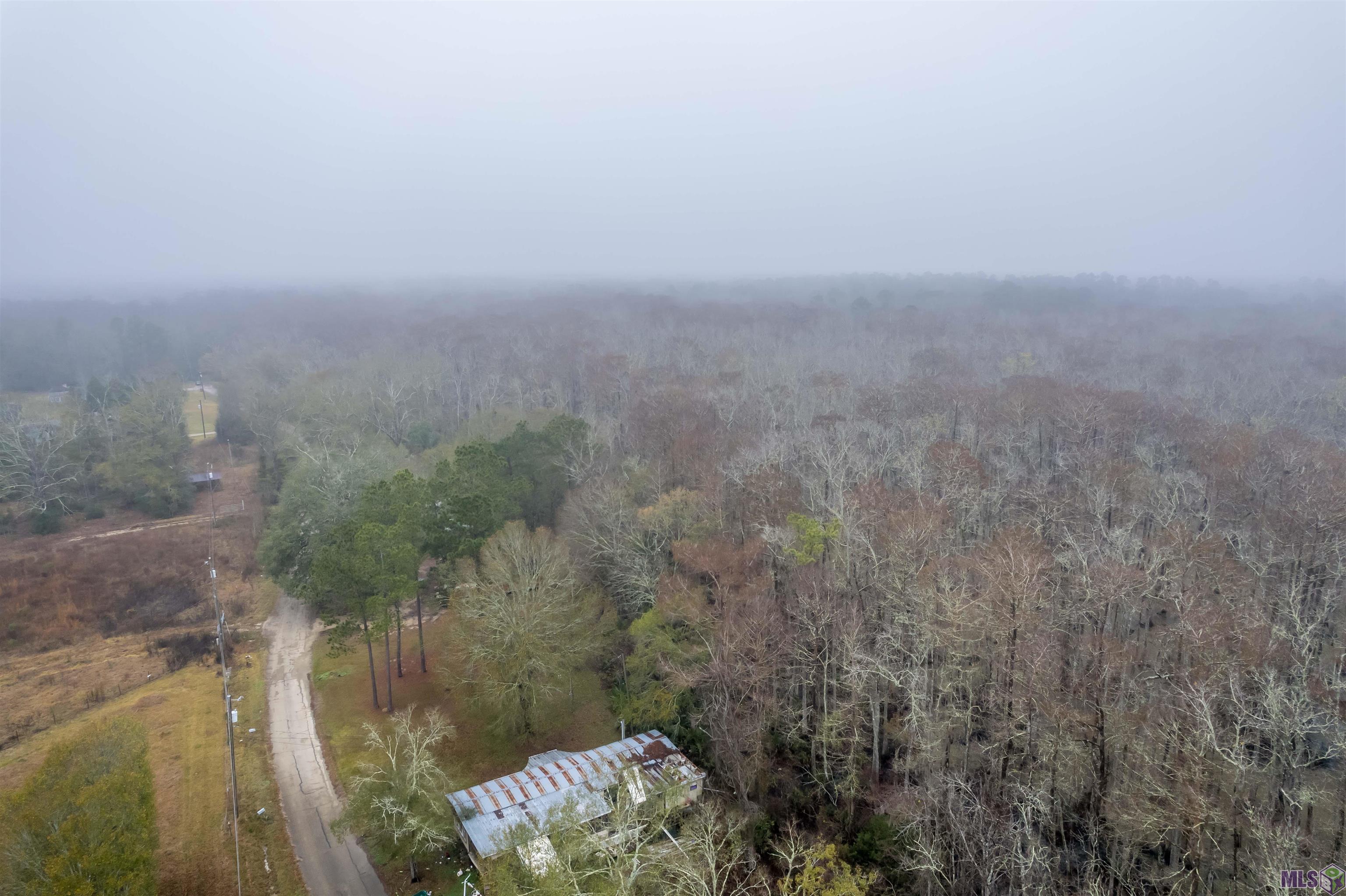 15600 Ridge Road Maurepas, LA 70449 - Photo 10 of 10