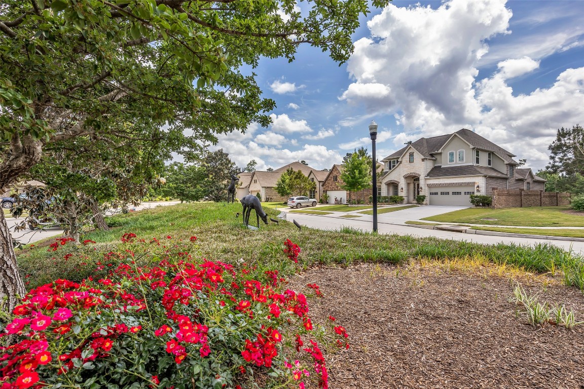 4060 Windsor Chase Drive Spring, TX 77386 - Photo 4 of 40 a view of a park with of plants and trees
