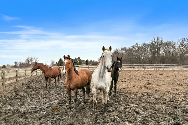 a view of a walk in closet