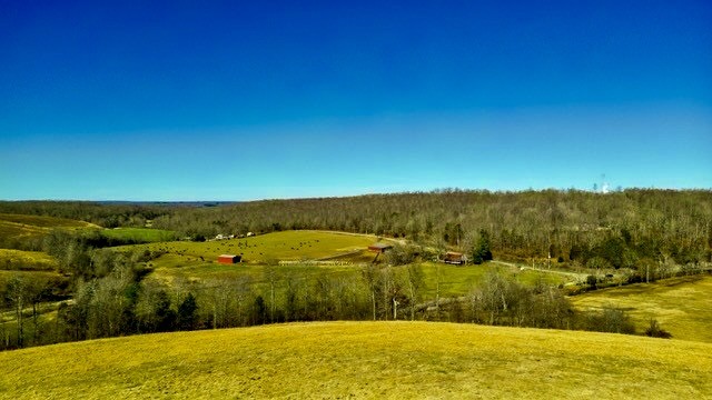 2450 Bateman Branch Road Erin, TN 37061 - Photo 1 of 17 Gallery Image 1