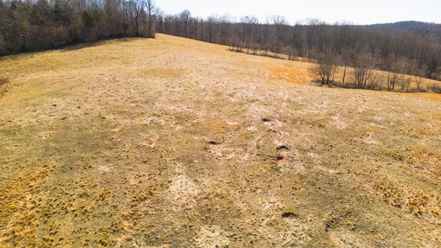 2450 Bateman Branch Road Erin, TN 37061 - Photo 11 of 17 Gallery Image 11