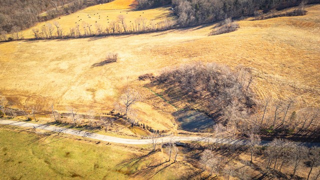2450 Bateman Branch Road Erin, TN 37061 - Photo 13 of 17 Gallery Image 13