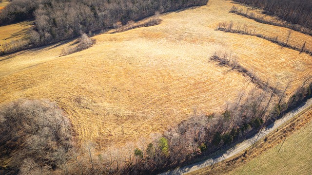 2450 Bateman Branch Road Erin, TN 37061 - Photo 14 of 17 Gallery Image 14
