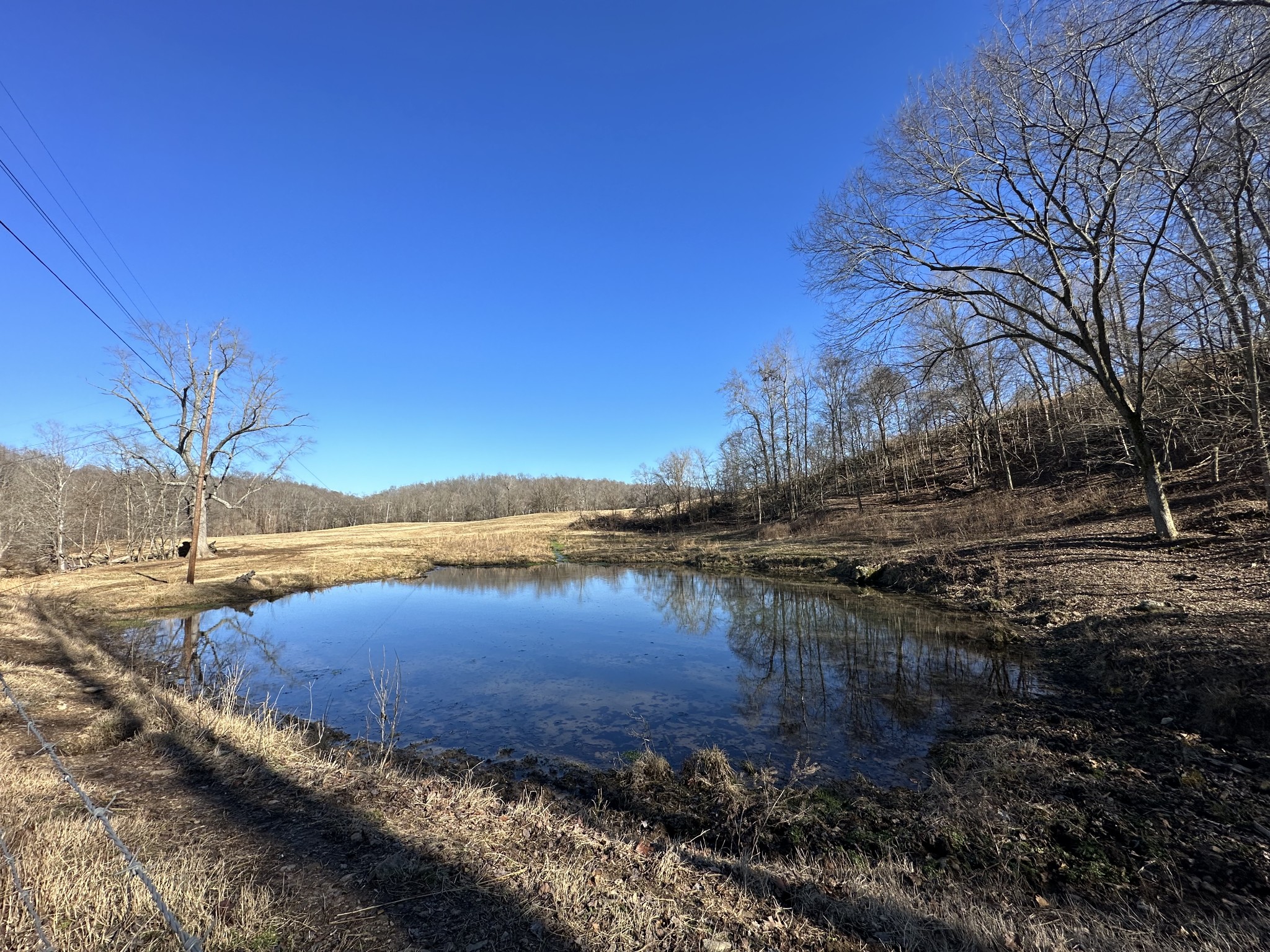 2450 Bateman Branch Road Erin, TN 37061 - Photo 16 of 17 Gallery Image 16