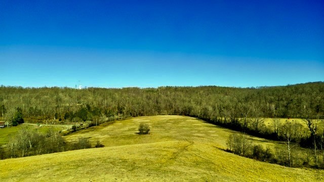 2450 Bateman Branch Road Erin, TN 37061 - Photo 2 of 17 Gallery Image 2