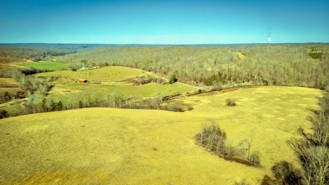 2450 Bateman Branch Road Erin, TN 37061 - Photo 3 of 17 Gallery Image 3