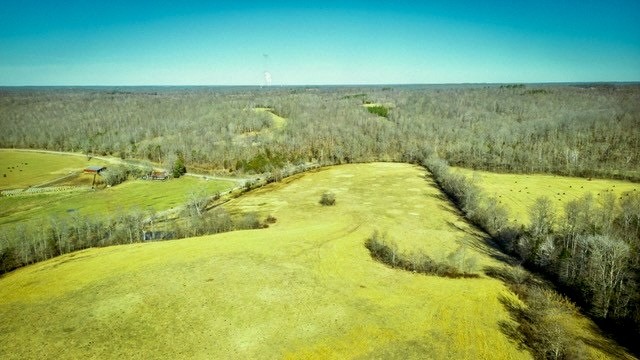 2450 Bateman Branch Road Erin, TN 37061 - Photo 4 of 17 Gallery Image 4