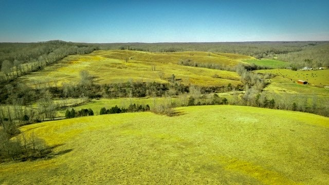 2450 Bateman Branch Road Erin, TN 37061 - Photo 5 of 17 Gallery Image 5