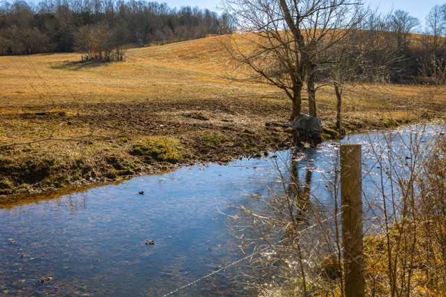 2450 Bateman Branch Road Erin, TN 37061 - Photo 6 of 17 Gallery Image 6