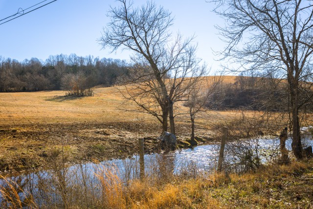 2450 Bateman Branch Road Erin, TN 37061 - Photo 7 of 17 Gallery Image 7
