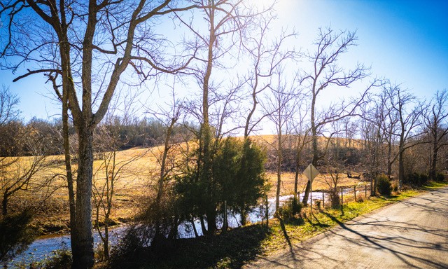2450 Bateman Branch Road Erin, TN 37061 - Photo 8 of 17 Gallery Image 8