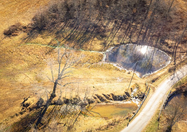 2450 Bateman Branch Road Erin, TN 37061 - Photo 10 of 17 Gallery Image 10