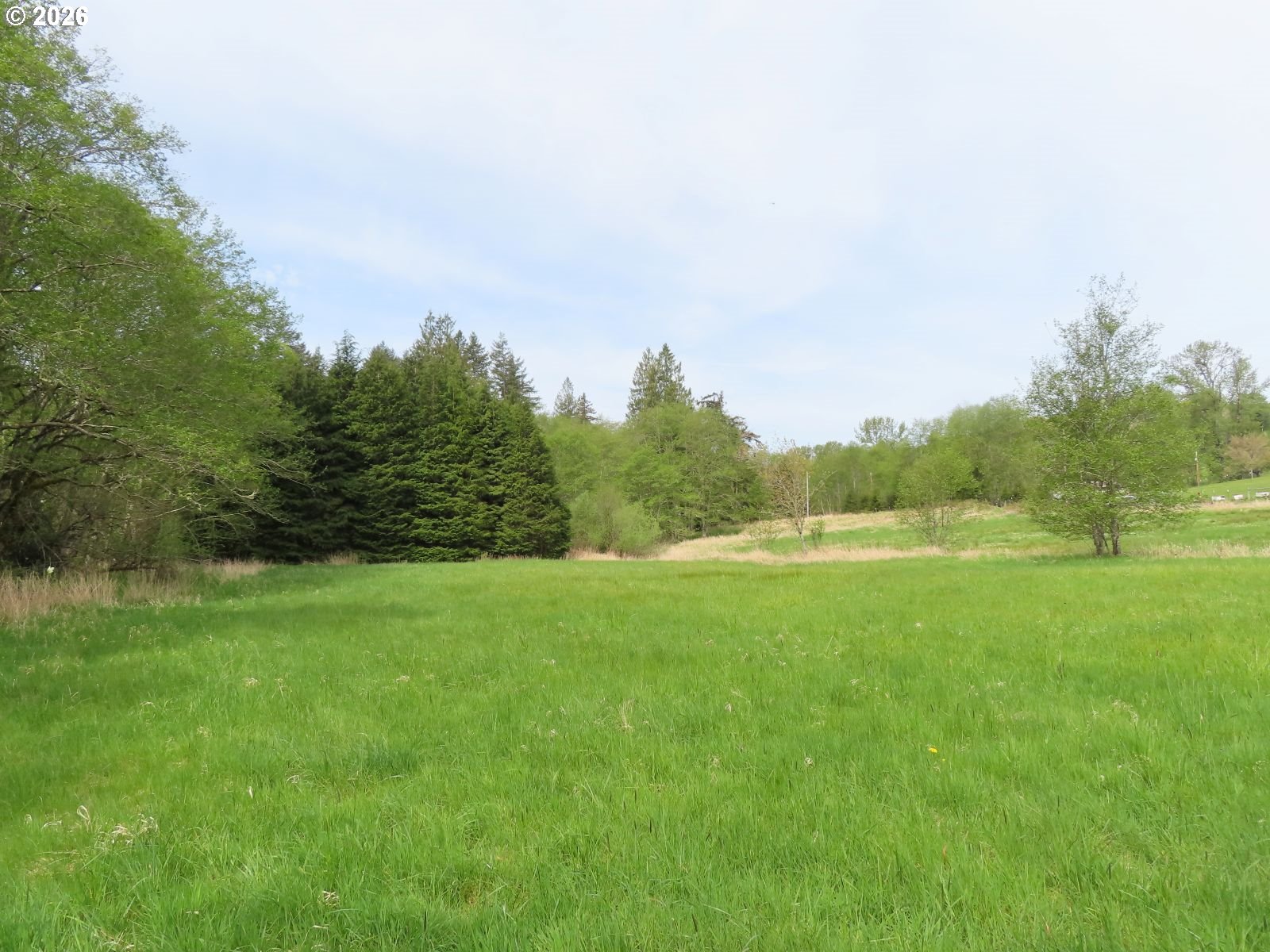 Hagen Road Mossyrock, WA 98564 - Photo 12 of 29