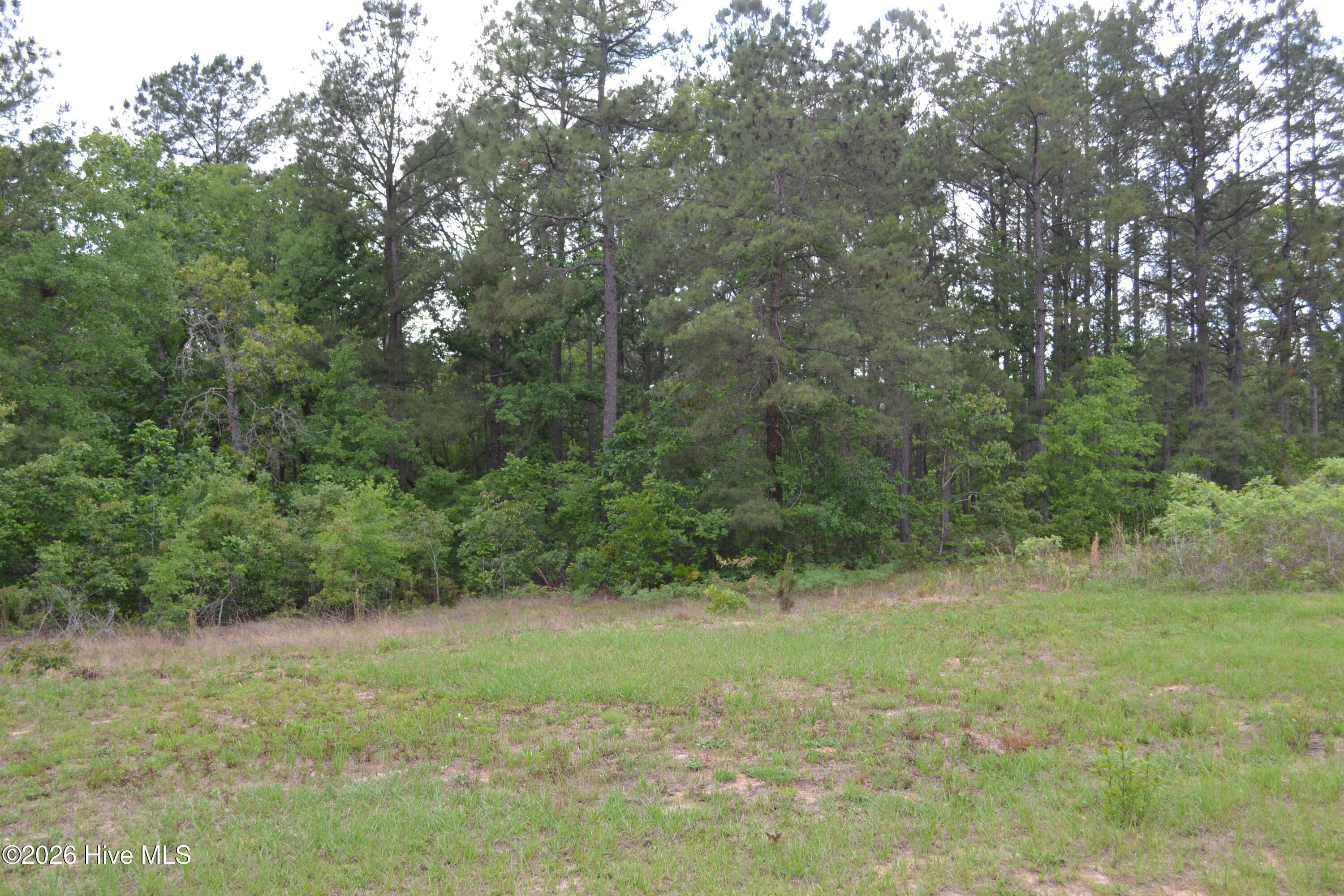 0 Old Barnwell Road Aiken, SC 29803 - Photo 13 of 20 Old Barnwell Rd (41)