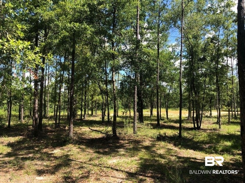 12359 Red Hill Rd Extension Bay Minette, AL 36507 - Photo 2 of 16
