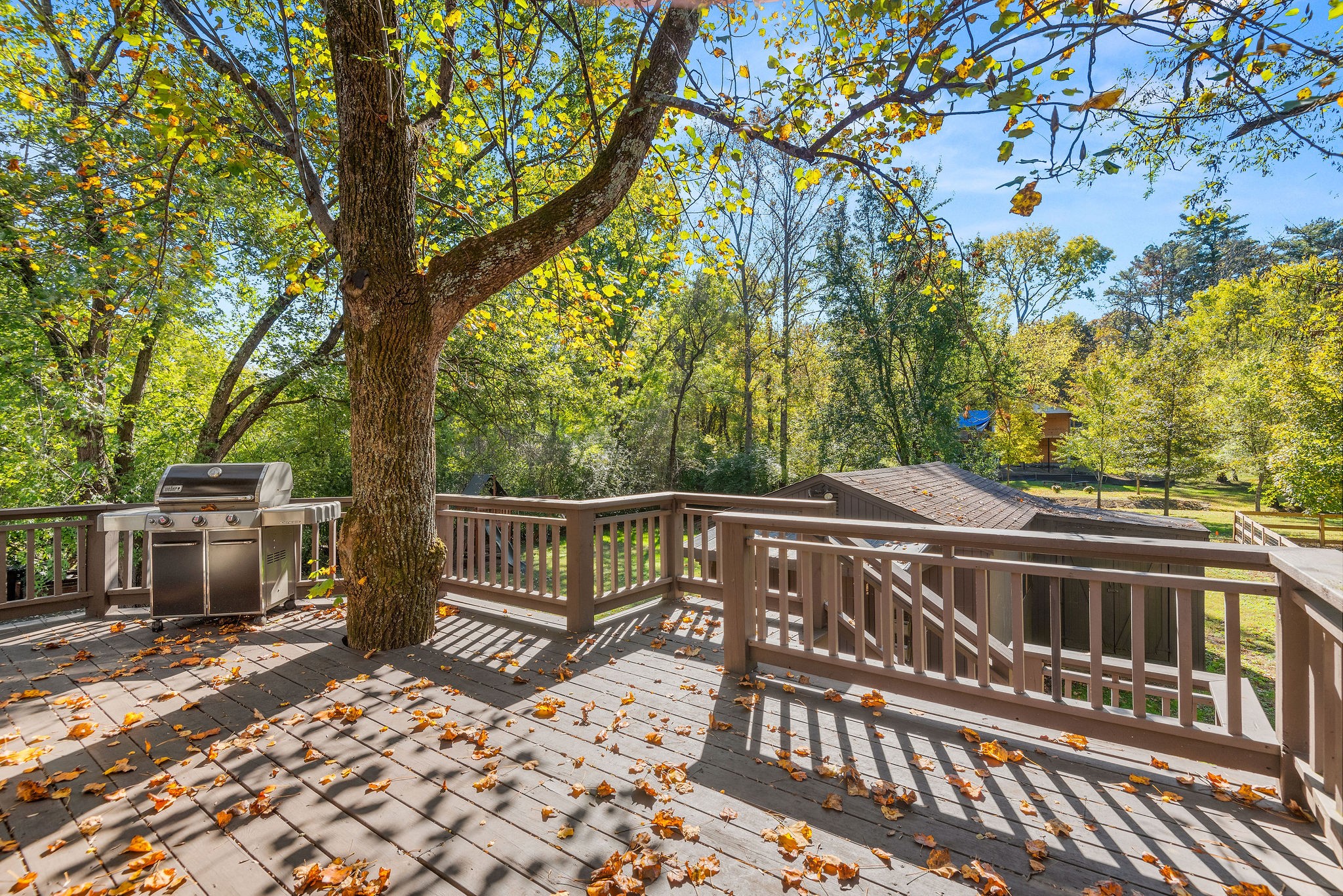 519 Crieve Road Nashville, TN 37220 - Photo 47 of 50 Gallery Image 47