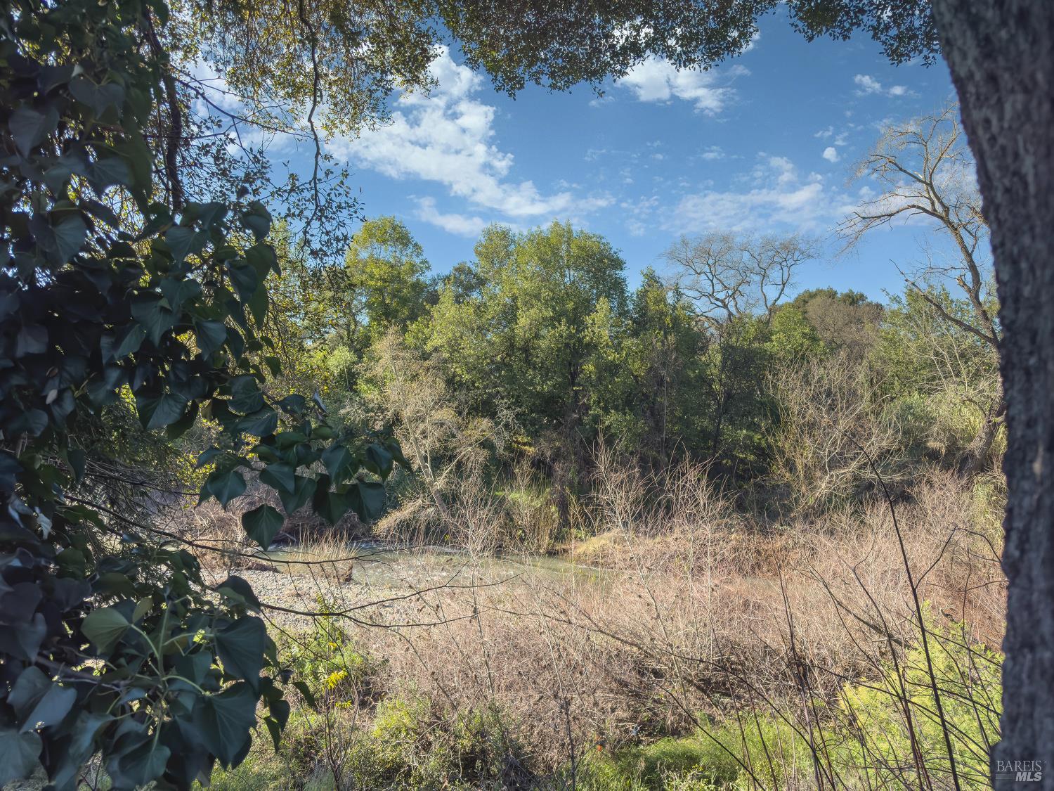 49 Ramon Street Sonoma, CA 95476 - Photo 23 of 39 a view of a yard with a tree