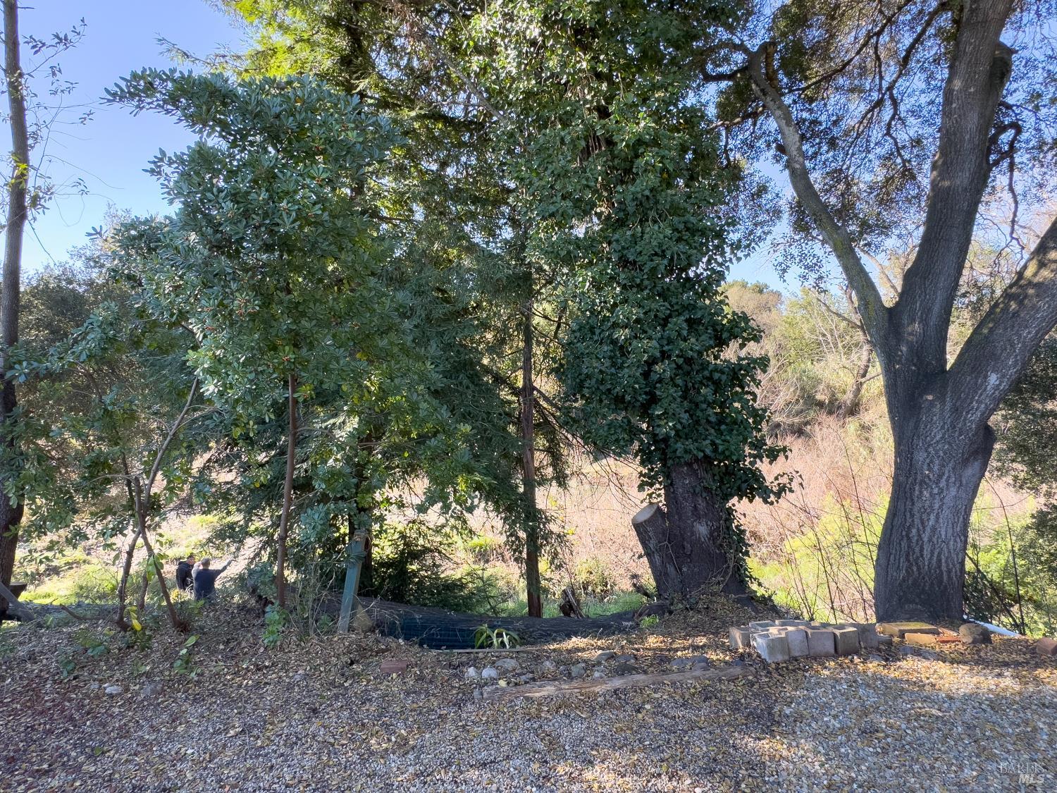 49 Ramon Street Sonoma, CA 95476 - Photo 31 of 39 a view of outdoor space and yard