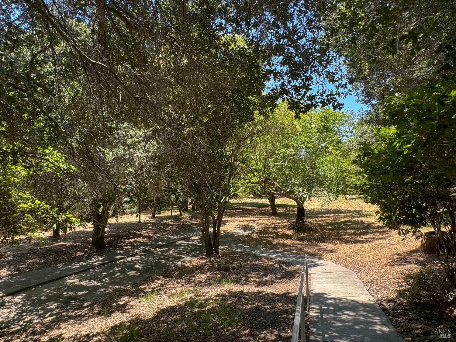 49 Ramon Street Sonoma, CA 95476 - Photo 36 of 39 a view of outdoor space with lots of green space
