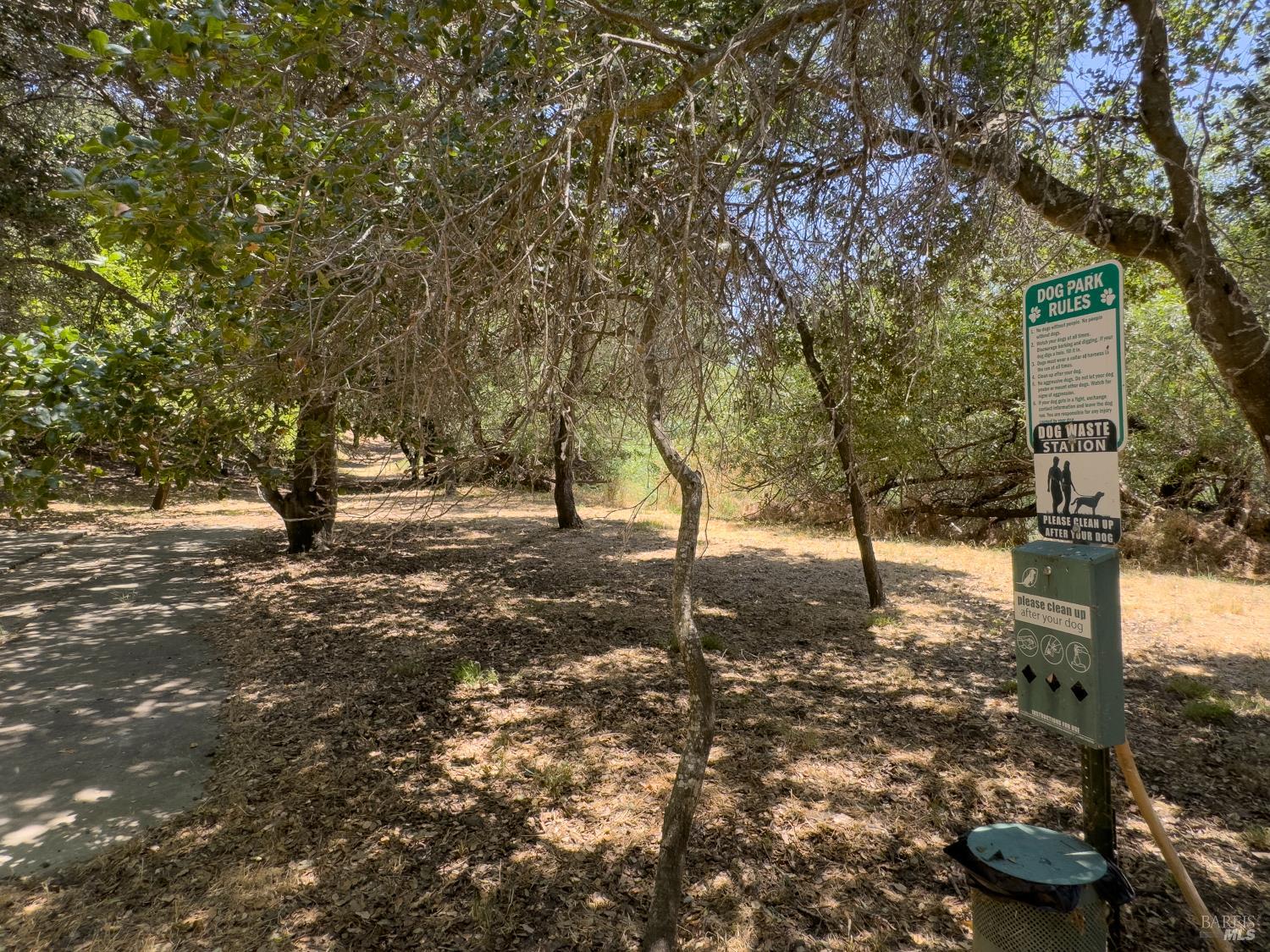 49 Ramon Street Sonoma, CA 95476 - Photo 37 of 39 a trees in the middle of a yard