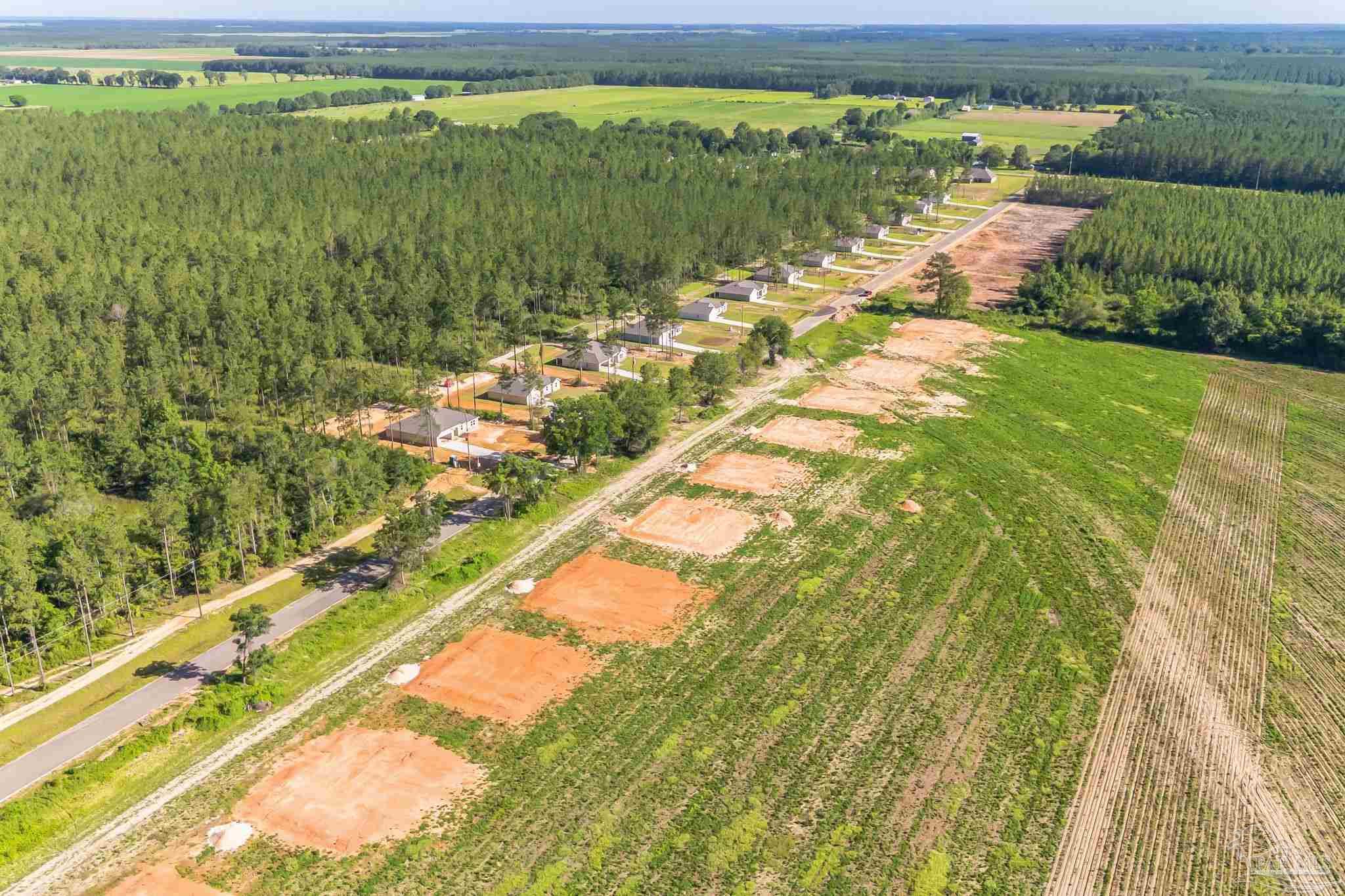 9236 3 Hollow Road Jay, FL 32565 - Photo 5 of 5