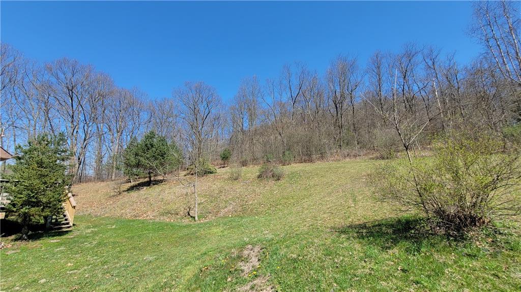 576 Lardintown Road Sarver, PA 16055 - Photo 12 of 16 a view of a yard with trees
