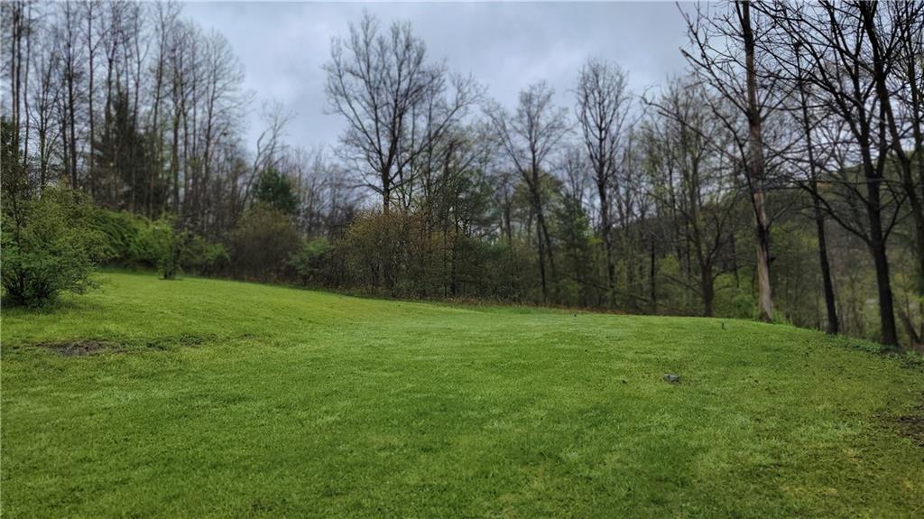 576 Lardintown Road Sarver, PA 16055 - Photo 13 of 16 a view of a grassy field with trees