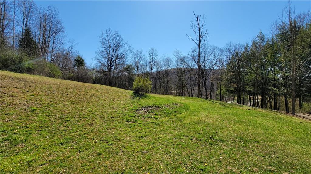 576 Lardintown Road Sarver, PA 16055 - Photo 14 of 16 a backyard of a house with lots of green space