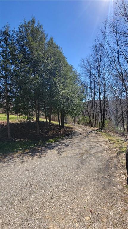 576 Lardintown Road Sarver, PA 16055 - Photo 15 of 16 a view of park with tree