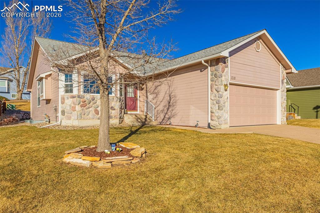 1310 Bison Ridge Drive Colorado Springs, CO 80919 - Photo 2 of 45 a view of a house with backyard and a tree