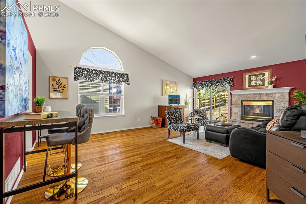 1310 Bison Ridge Drive Colorado Springs, CO 80919 - Photo 4 of 45 a living room with furniture a fireplace and a flat screen tv