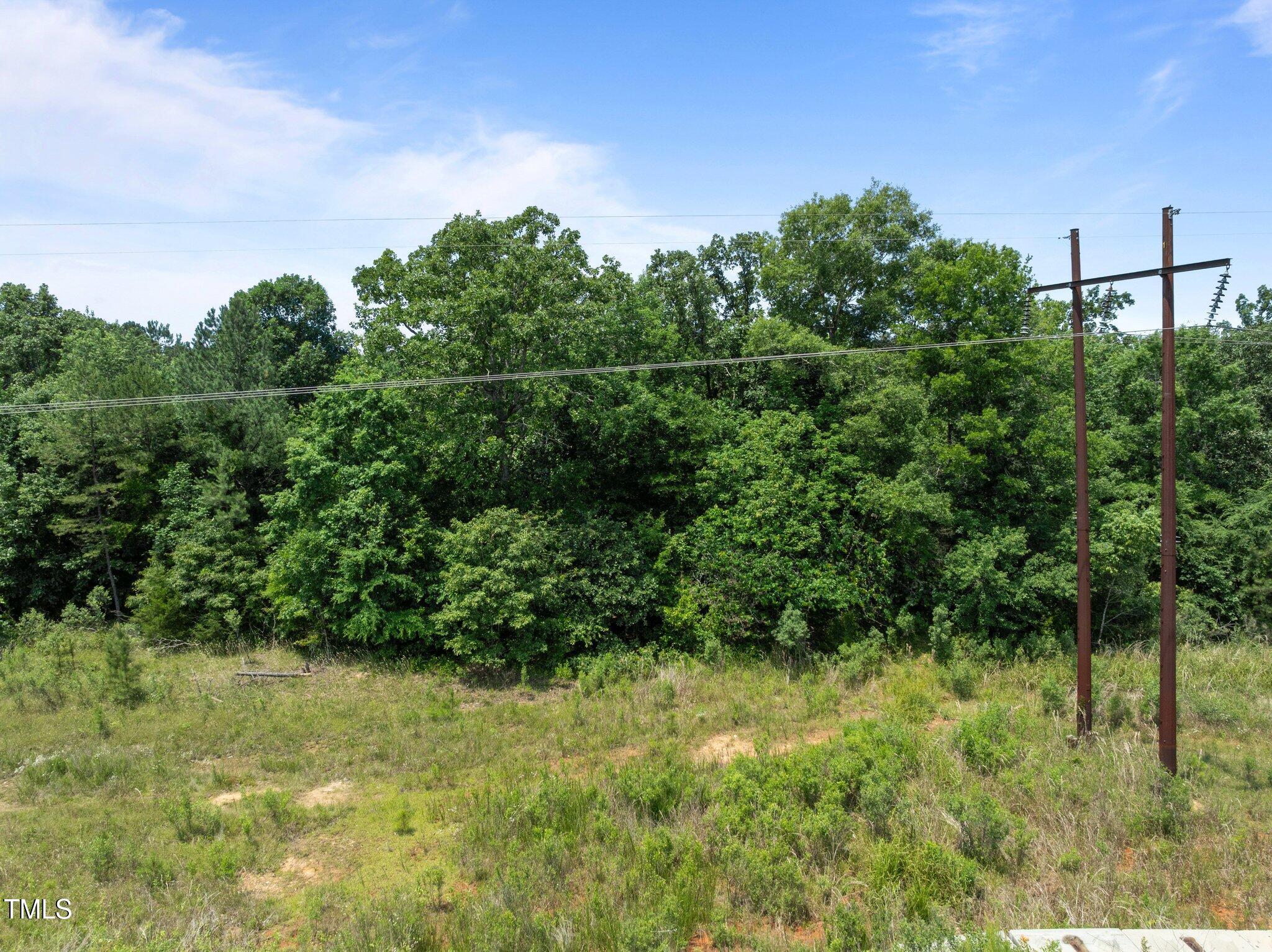 0 Wright Road Biscoe, NC 27209 - Photo 8 of 8 11-web-or-mls-DJI_0462