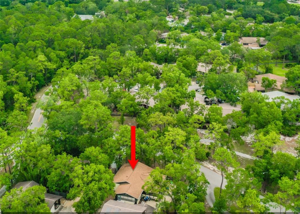 127 Cypress Pond Road Port Orange, FL 32128 - Photo 68 of 68 a view of a tree with a small yard