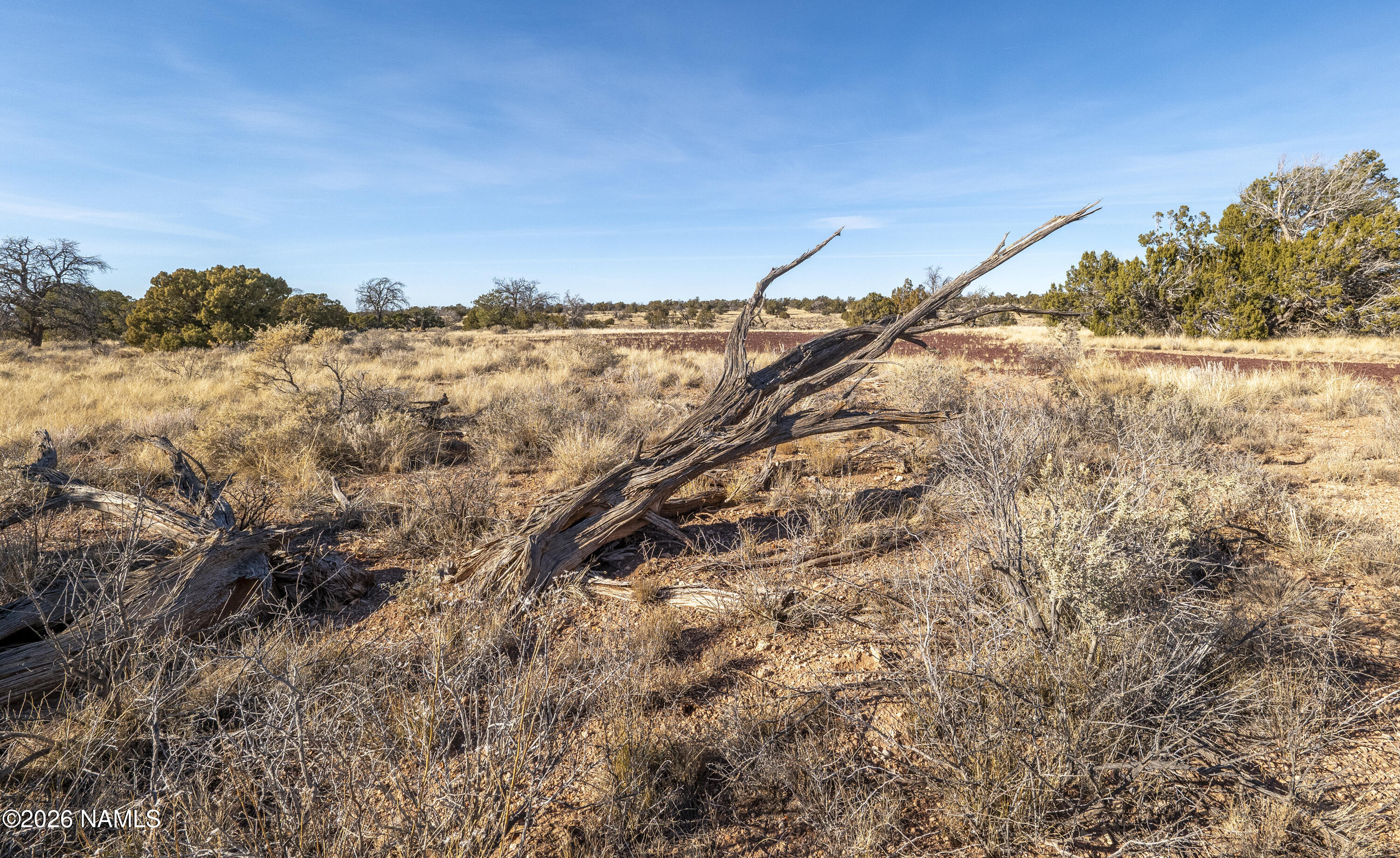 5614 North Alta Villa Road Williams, AZ 86046 - Photo 22 of 24 P1758642