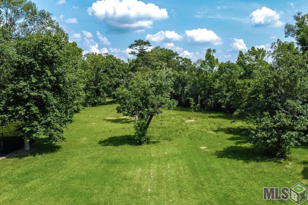 36302-36303 Ruby Moore Road Denham Springs, LA 70706 - Photo 3 of 13 Gallery Image 3