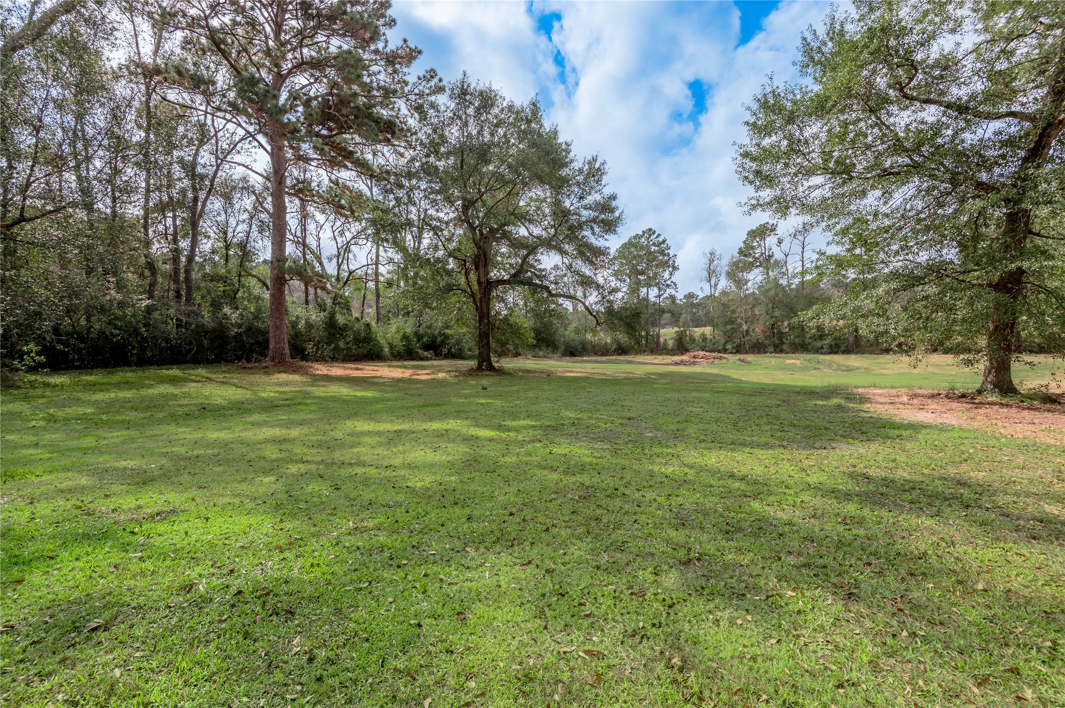 7640 Highway 75 Huntsville, TX 77340 - Photo 12 of 49 a view of a field with trees in the background