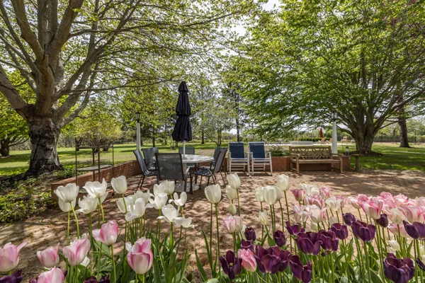 a view of a patio with wooden floor