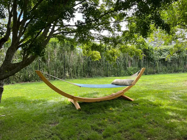 a view of a field with a tree