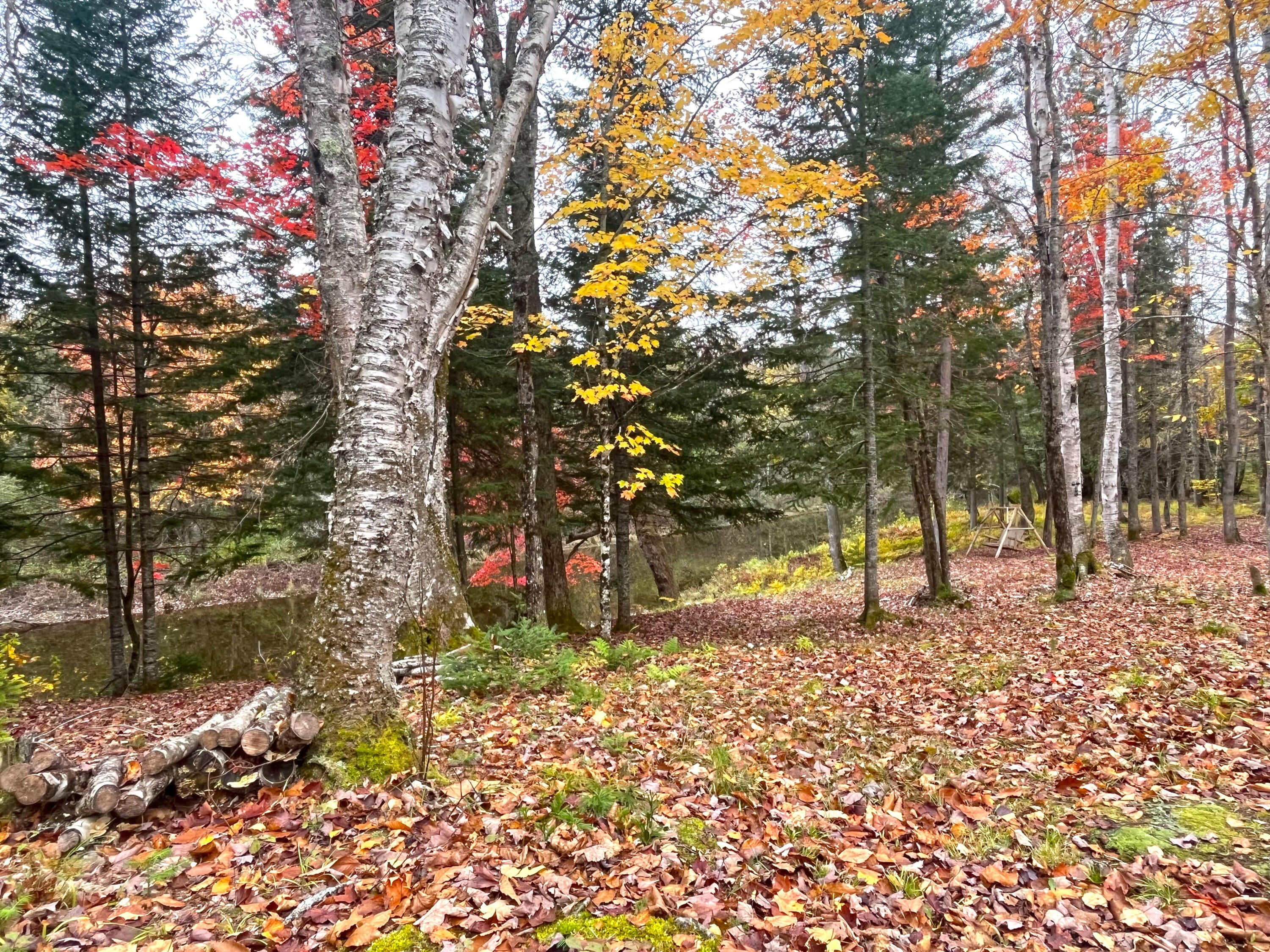 4800 South North Hulbert Road Eckerman, MI 49728 - Photo 5 of 40 Gallery Image 5