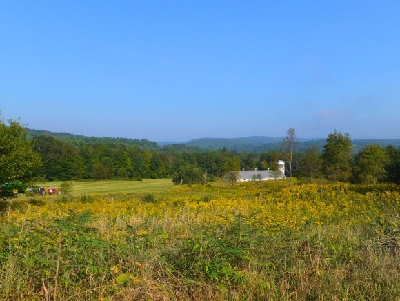 - Hartley Hill Road Bellows Falls, VT 05101 - Photo 2 of 4