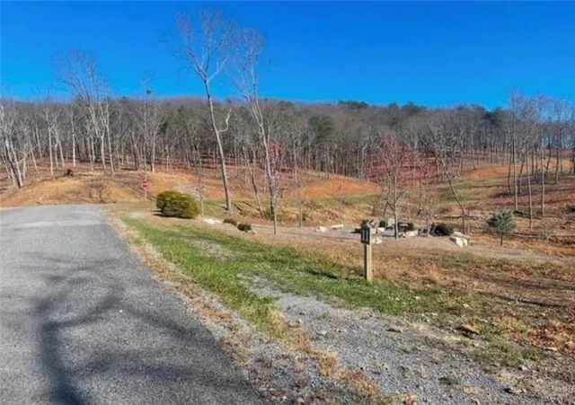 a view of a park with a yard