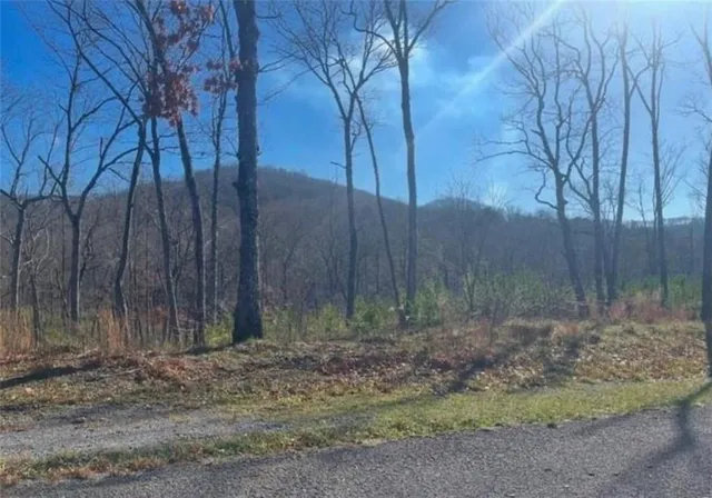 a backyard of a house
